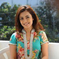 Nisha Agarwal New Stills | Picture 129010